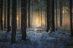 不仅仅是比赛，2026世界杯旧金山，一场文化盛宴！