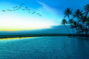 粉丝们喊话：求求了，让这支队伍在八强赛走得更远！