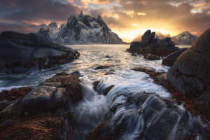 从草根到王者，阴阳师百闻牌战队赛诞生英雄！